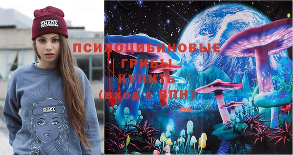 крисы Балахна