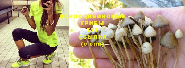мяу мяу мука Аркадак